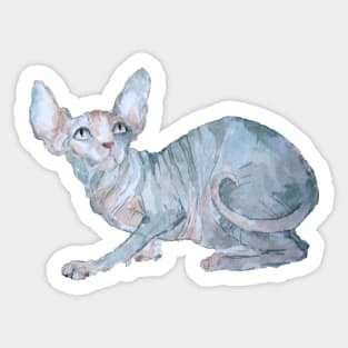 Sphynx cat Sticker